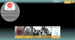 Desktop Screenshot of brecha.com.ar